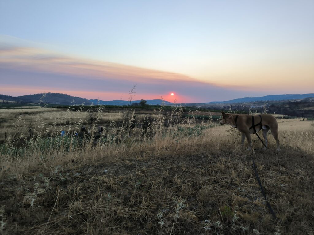 Arcos steht bei Sonnenuntergang in der Landschaft Südfrankreichs.