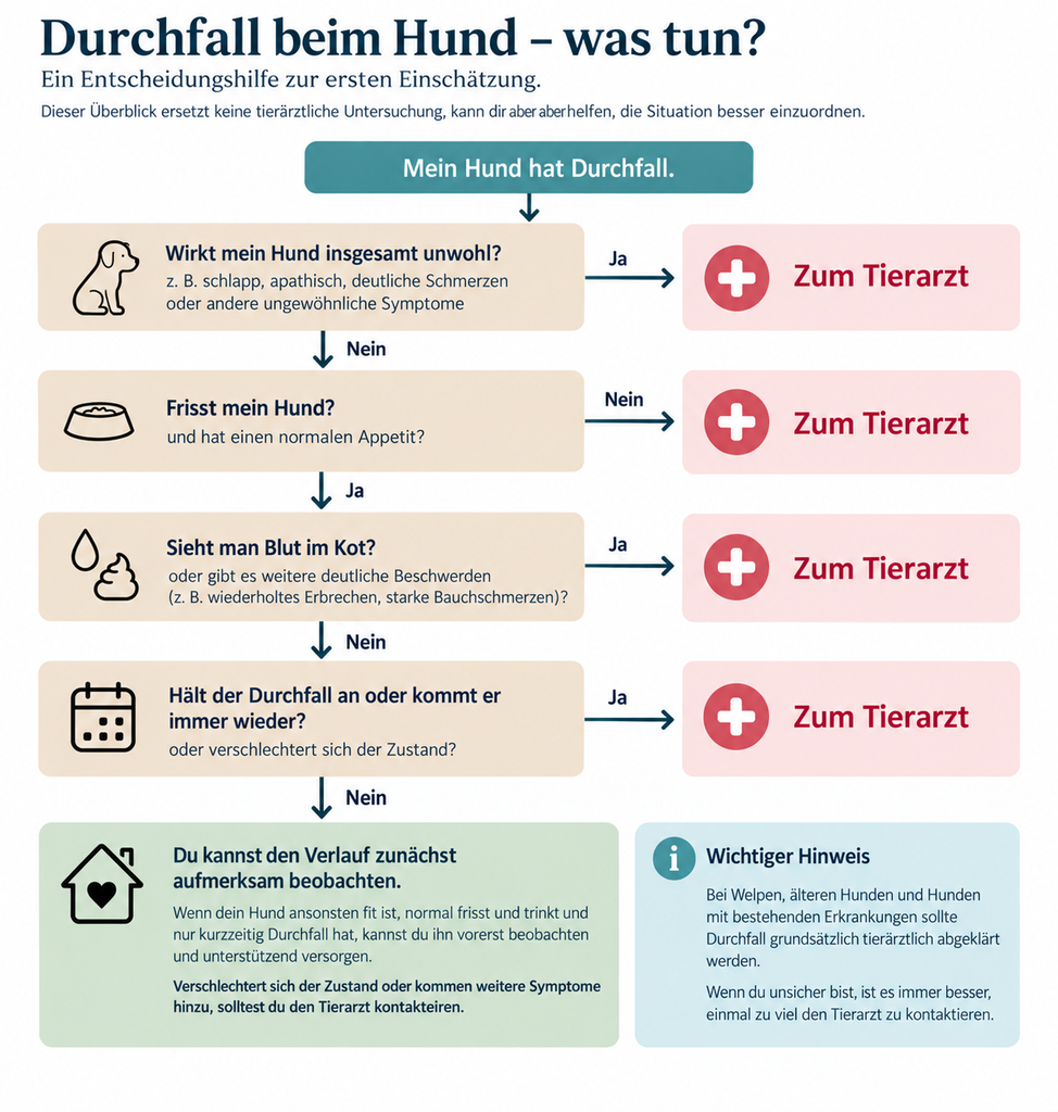 Entscheidungsbaum bei Durchfall beim Hund: Allgemeinzustand, Appetit, Blut oder weitere Beschwerden und Dauer des Durchfalls helfen bei der Einschätzung, ob ein Tierarztbesuch erforderlich ist.